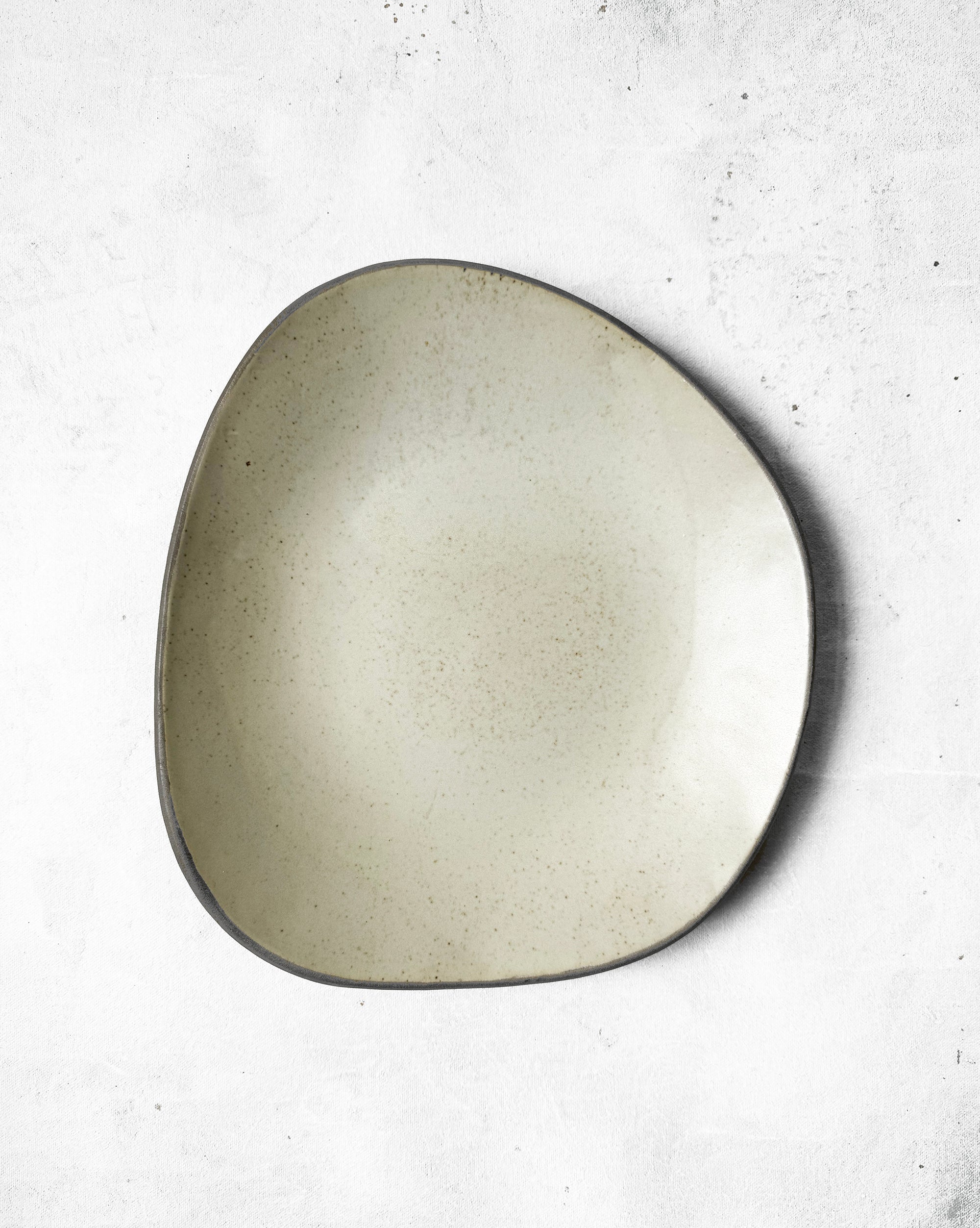 Dinner Plate in Speckled Beige