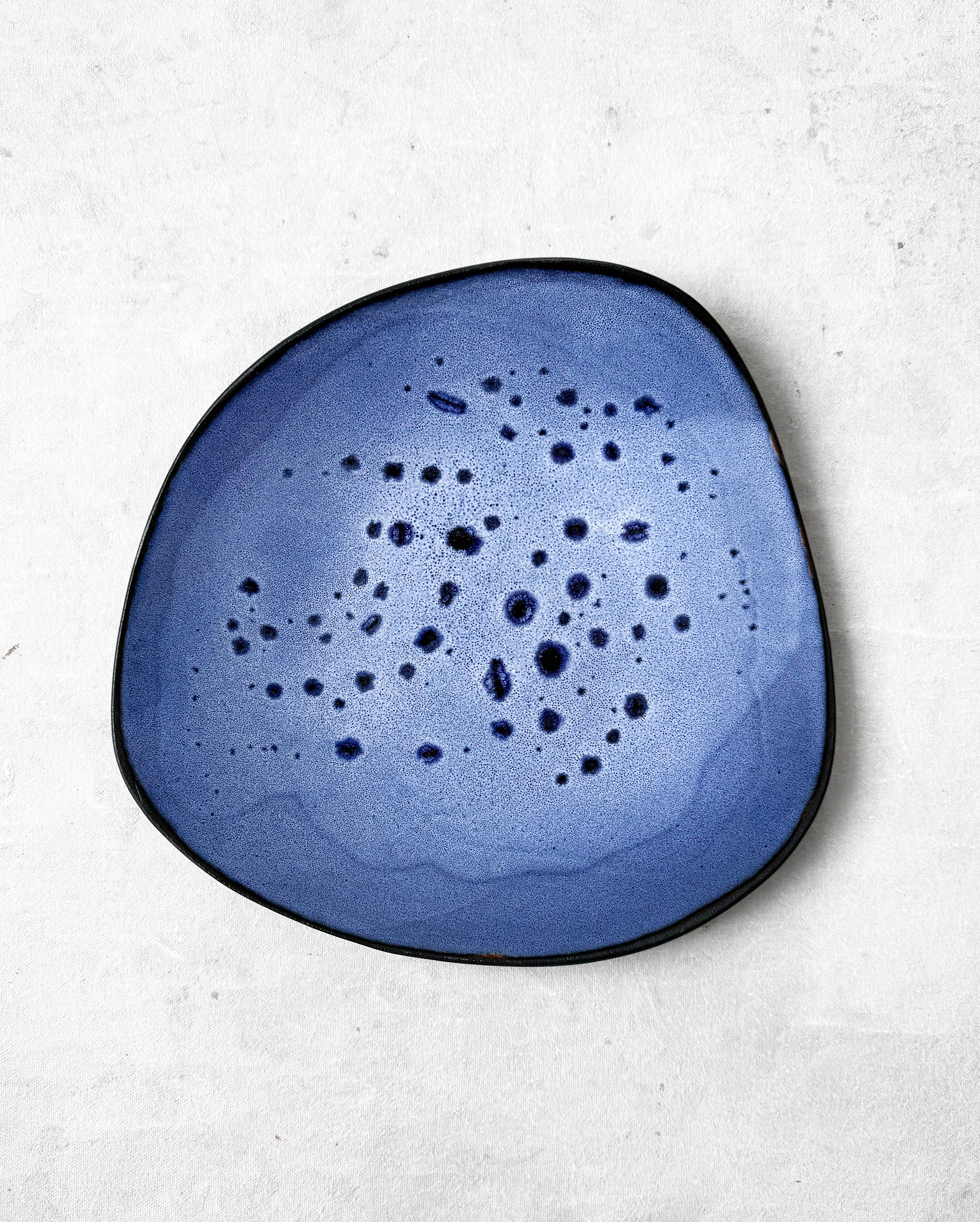 Everyday Plate in Speckled Cobalt